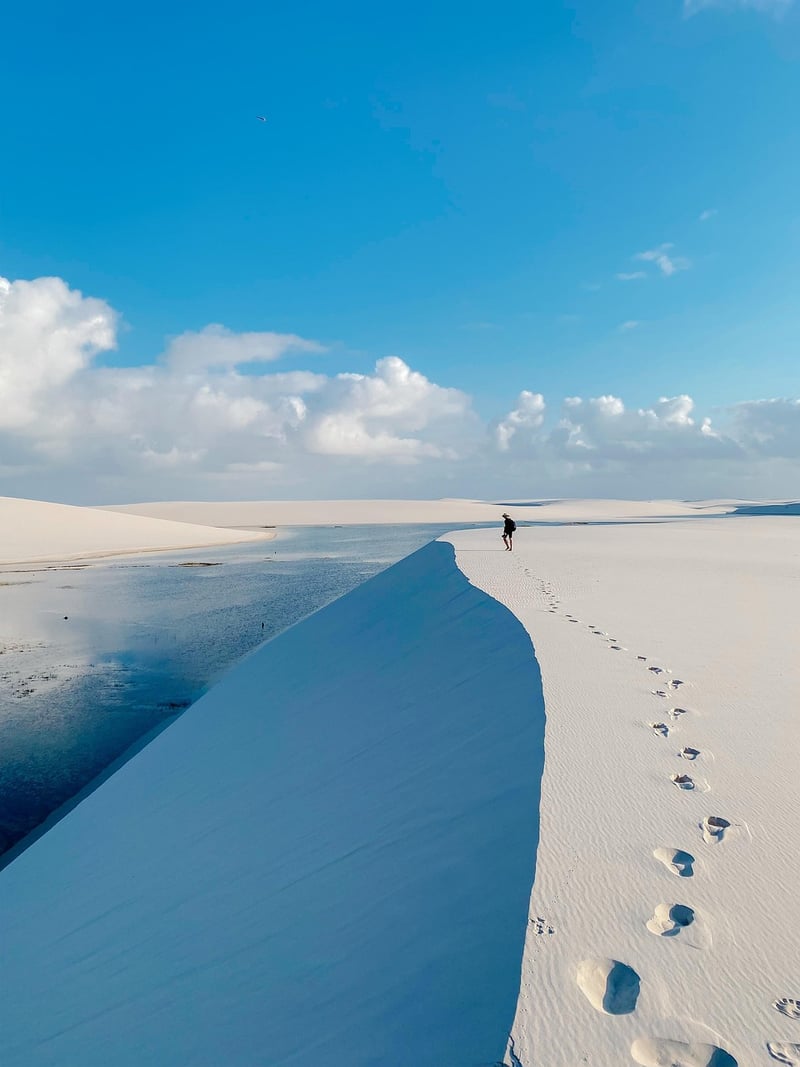 Desert Trekking